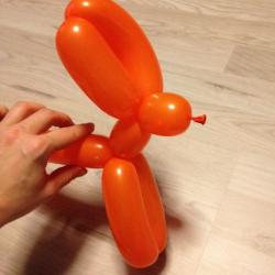 Hase aus Modellierballons basteln Schritt 5