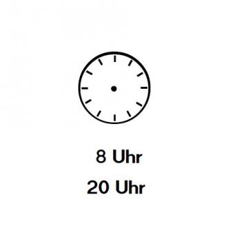 Uhrzeiger eintragen: Zwanzig Uhr